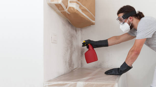 Professional Bathroom Mold Removal technician working in Cary, IL