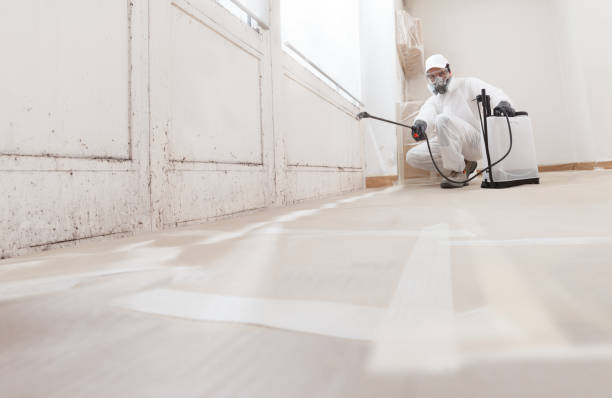 24/7 Emergency Bathroom Mold Removal experts in Cary, IL