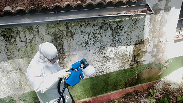 Top rated local Bathroom Mold Removal specialists in Cary, IL